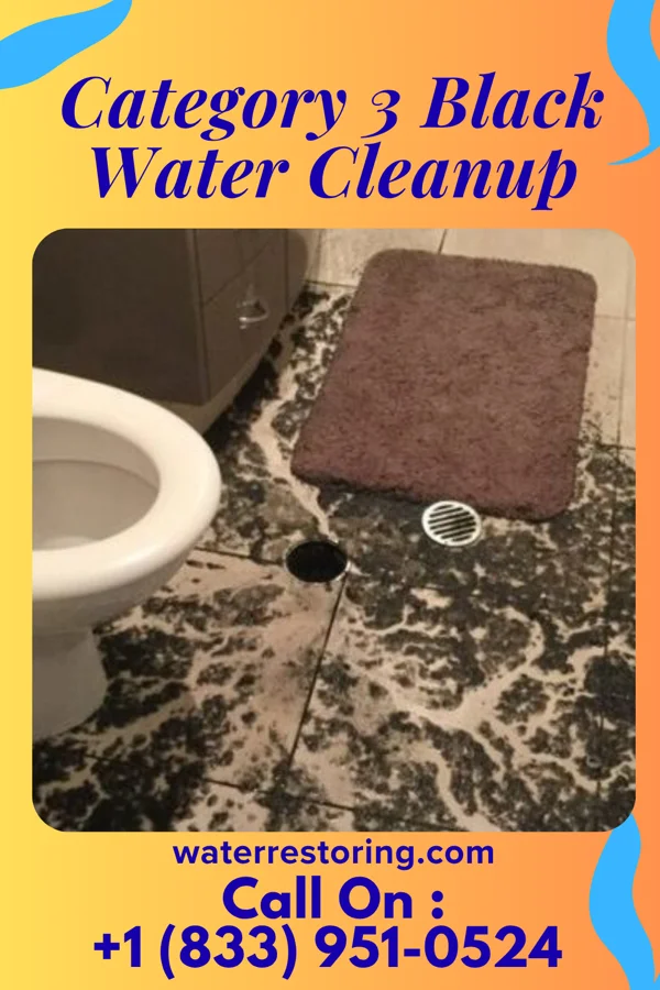 Category 3 Black Water Cleanup in Cathay, ND