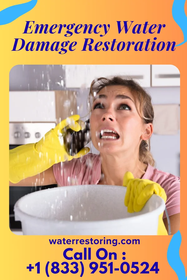 Emergency Water Damage Restoration in Cathay, ND