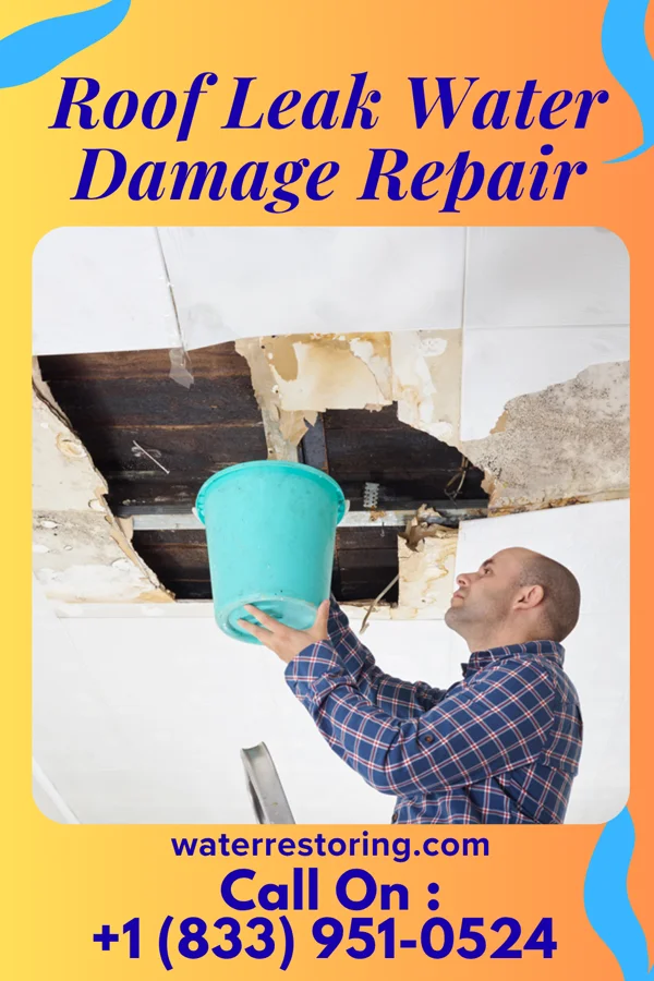 Roof Leak Water Damage Repair in Cathay, ND