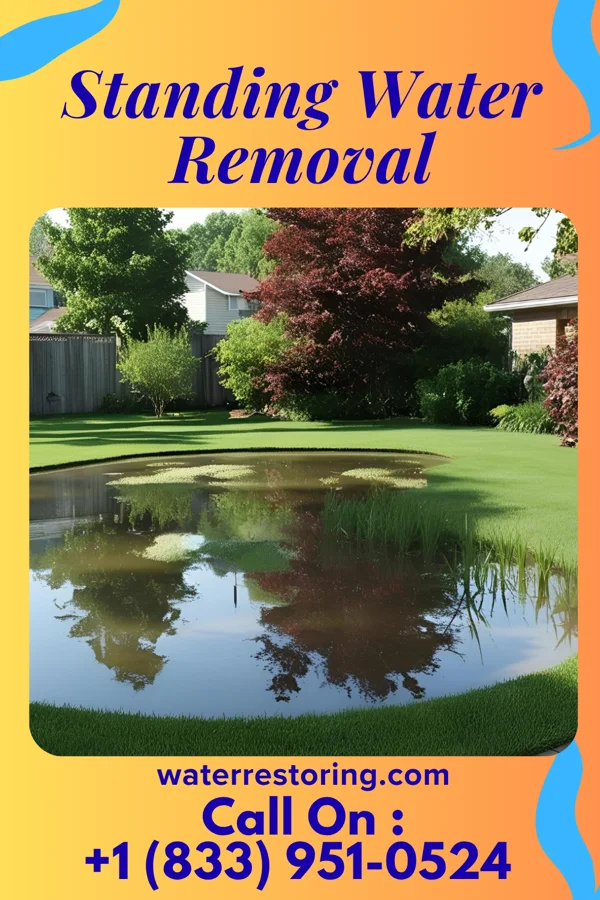 Standing Water Removal in Cathay, ND